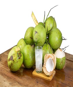 TENDER COCONUT